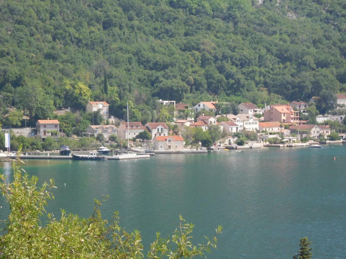 Villa Aronija Kotor Bagian luar foto