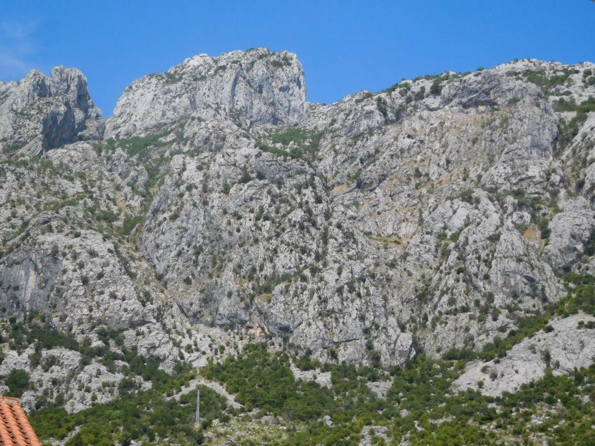 Villa Aronija Kotor Bagian luar foto