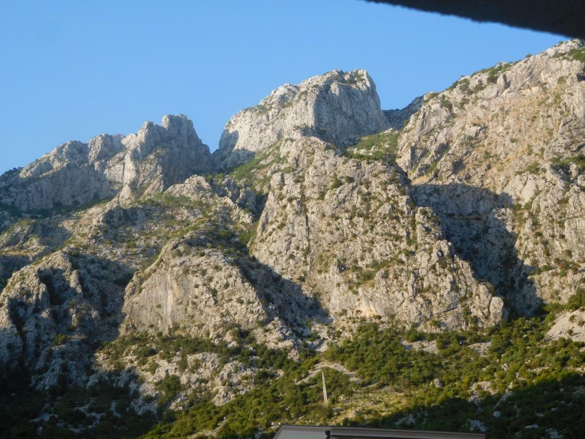 Villa Aronija Kotor Bagian luar foto